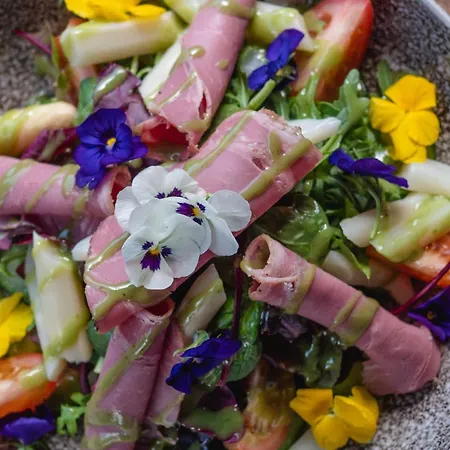De Gouden Leeuw Pensjonat Bronkhorst