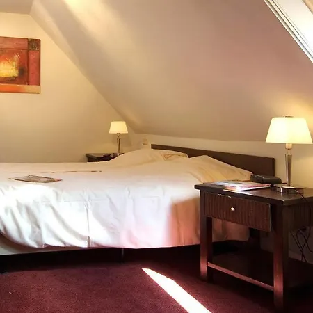 Herberg De Gouden Leeuw Guest house Bronkhorst