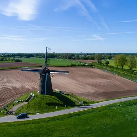 De Gouden Leeuw Affittacamere 4*