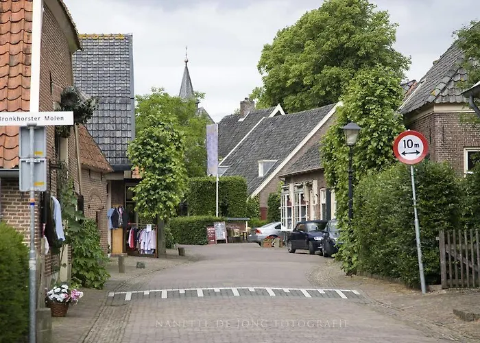 De Gouden Leeuw Bronkhorst