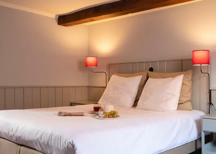 Pensionat De Gouden Leeuw 4*