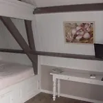 Herberg De Gouden Leeuw 4*