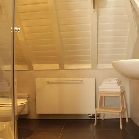 De Gouden Leeuw 4* Bronkhorst