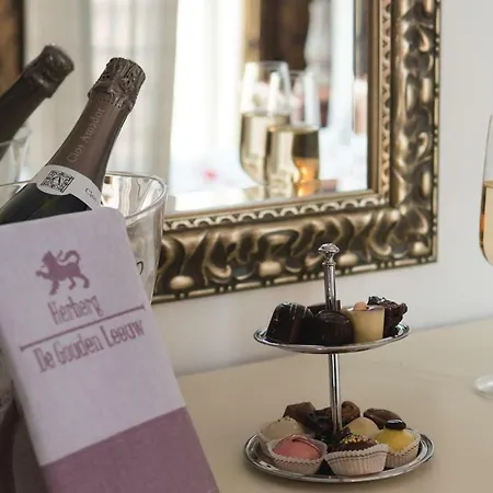 Vendégház De Gouden Leeuw 4*