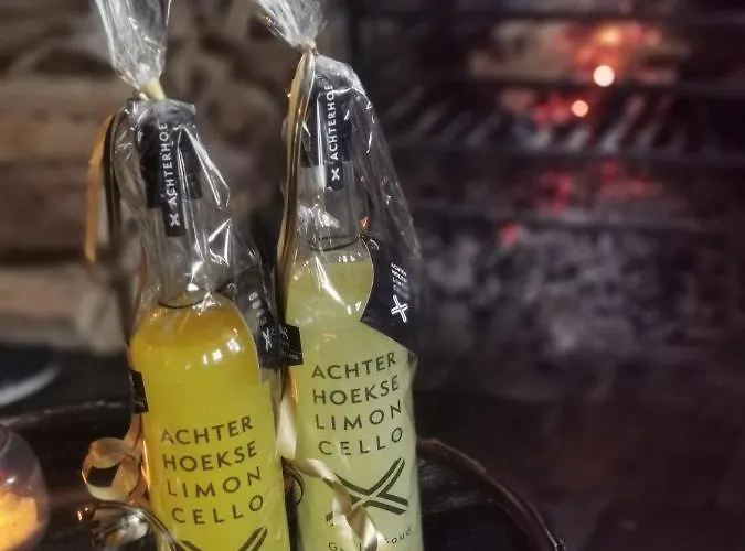 赫伯格的古顿莱乌酒店 布鲁克豪斯特