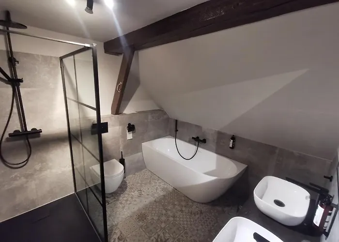 赫伯格的古顿莱乌酒店 4*