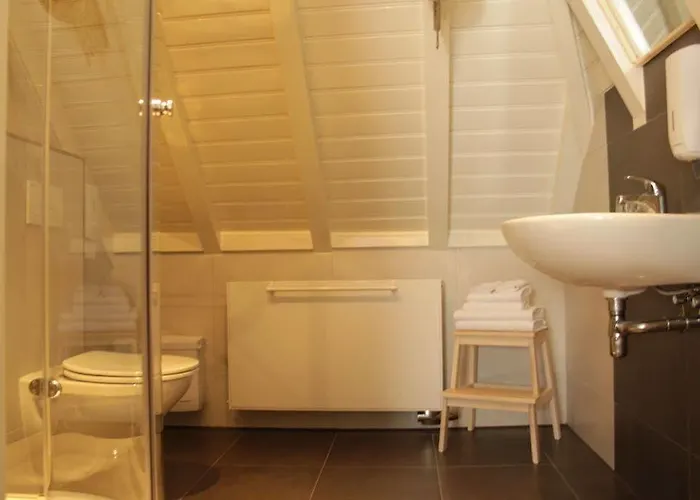 赫伯格的古顿莱乌酒店 4* 布鲁克豪斯特