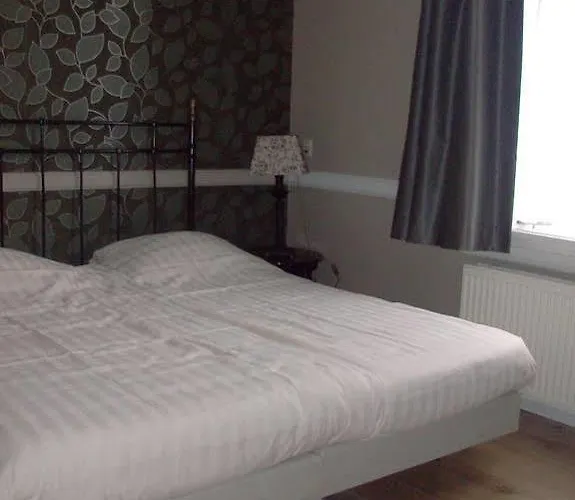 赫伯格的古顿莱乌酒店 4*