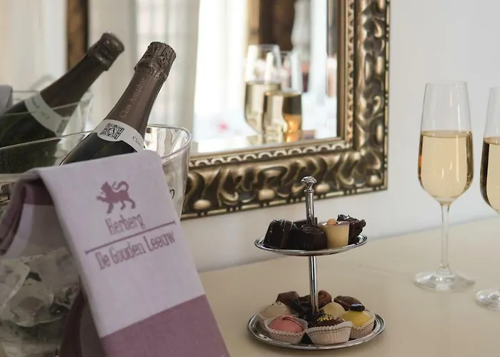 招待所 赫伯格的古顿莱乌酒店 4*